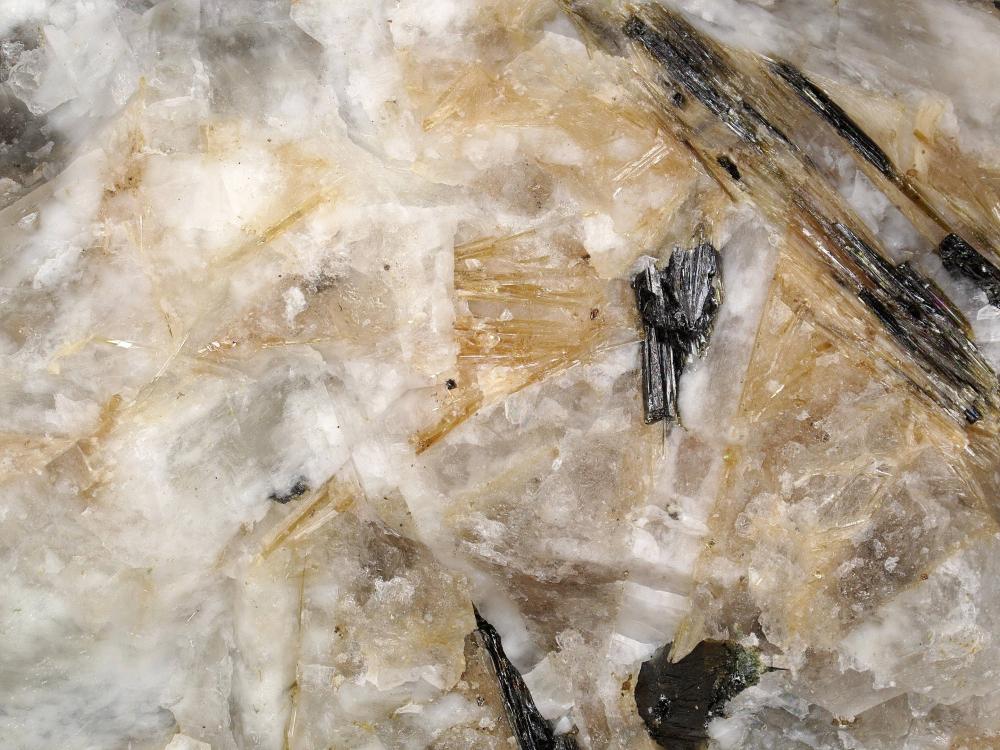 Fluorlamprophyllite